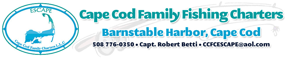 Cape Cod Family Fishing Charters